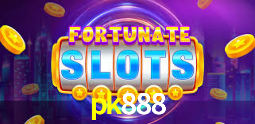 Interface Premium pk888